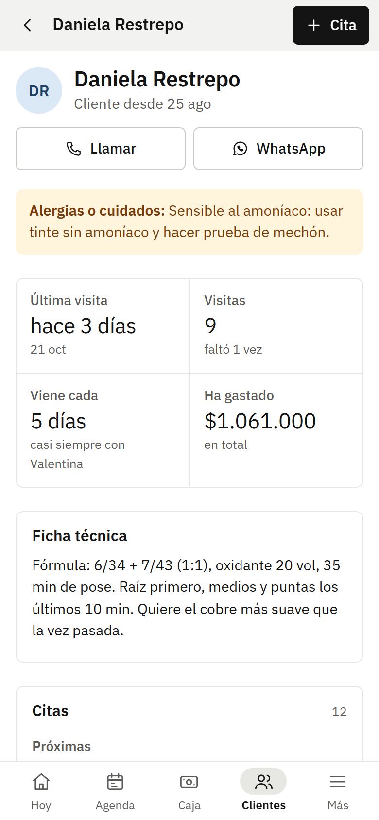 Pantalla de Manager Beauty: la ficha del cliente