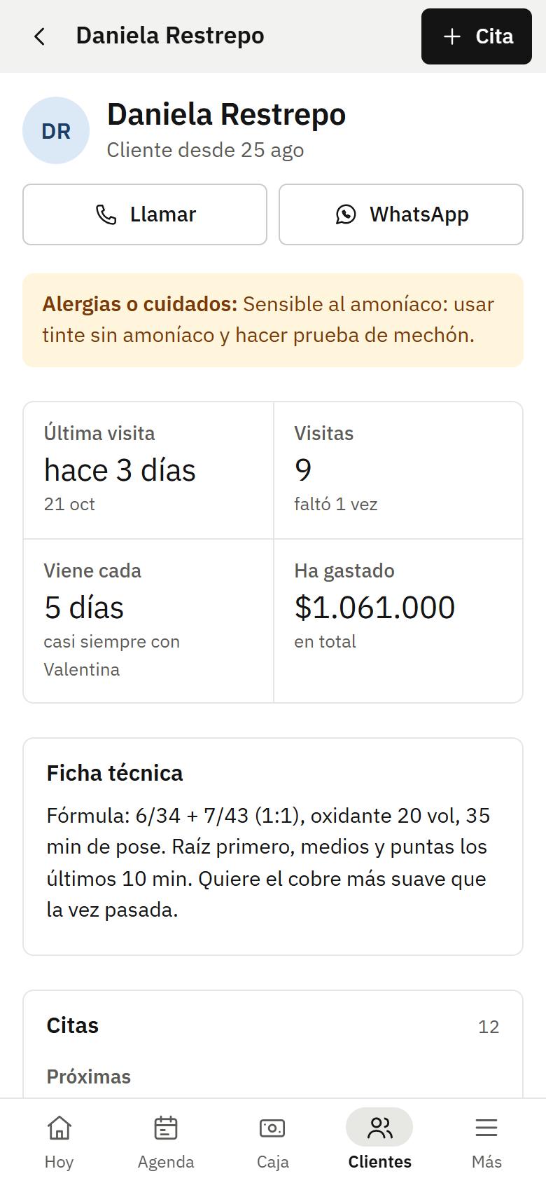 Pantalla de clientes y ficha técnica en el celular